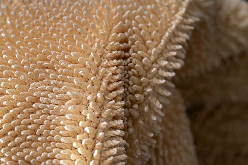 Изображение Изображение