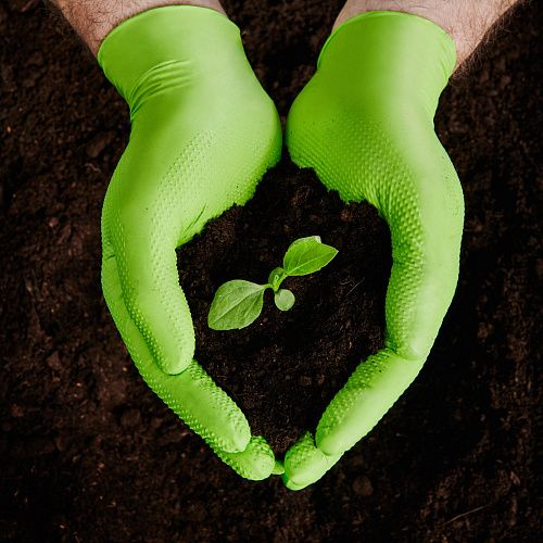 Изображение Изображение