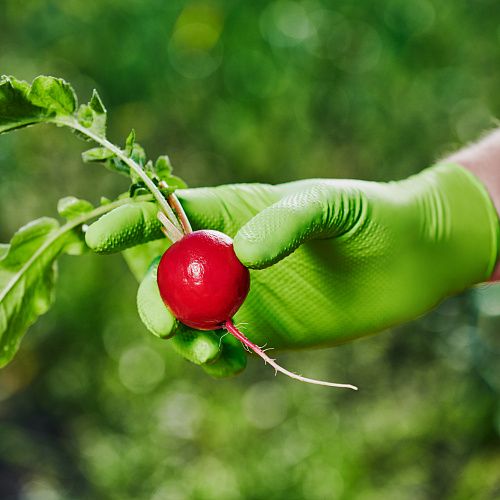 Изображение Изображение